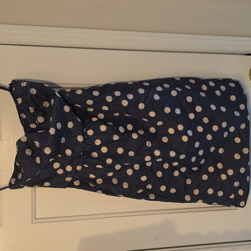 The Limited Navy and White Polka Dot Dress